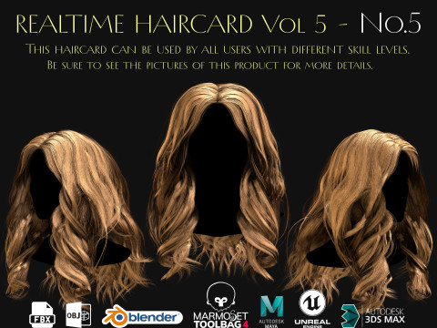 Realtime Haircard Vol 5 - No5 3D Model