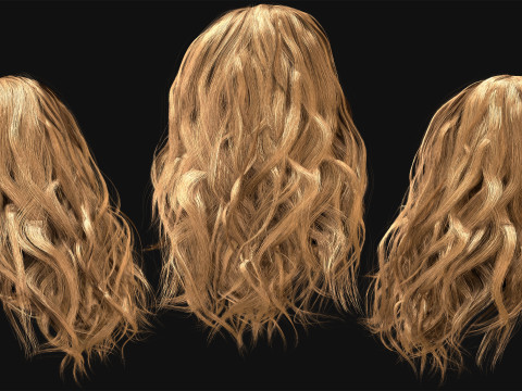 Realtime Haircard No25 3D Model