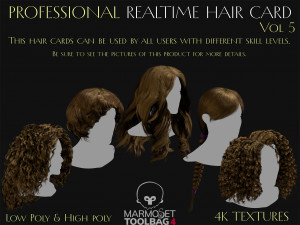 Professional Realtime Haircard Vol 5 Modelo 3D
