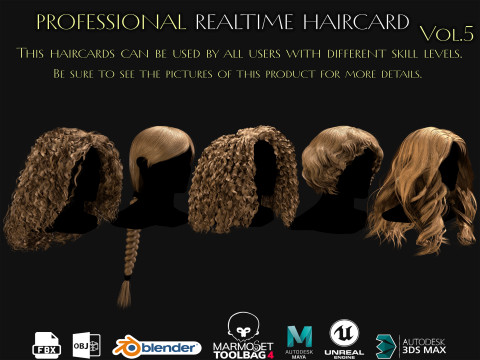 Professional Realtime Haircard Vol 5 Model 3D