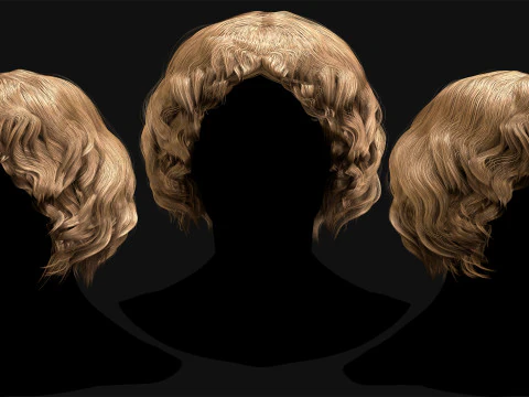 Professional Realtime Haircard Vol 5 3D Model