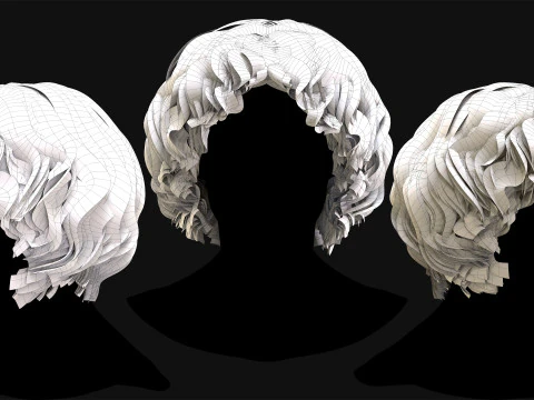 Professional Realtime Haircard Vol 5 3D Model