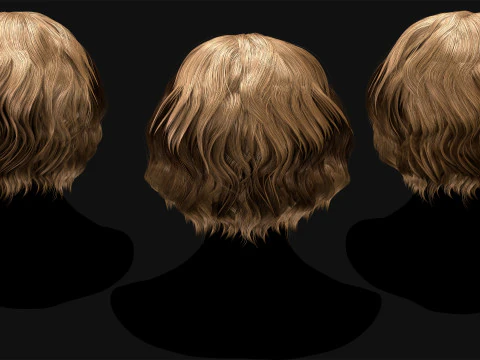 Professional Realtime Haircard Vol 5 3D Model