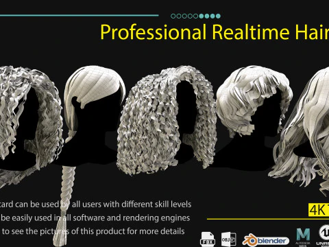 Professional Realtime Haircard Vol 5 3D Model