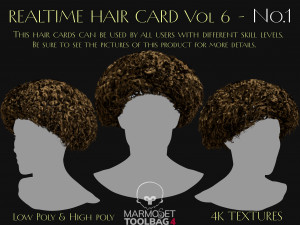 Realtime Haircard Vol 6 - No1 Modelo 3D