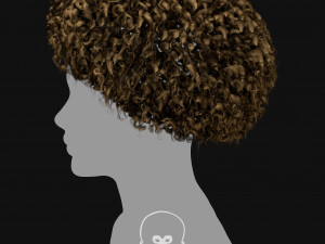 Realtime Haircard Vol 6 - No1 Modèle 3D