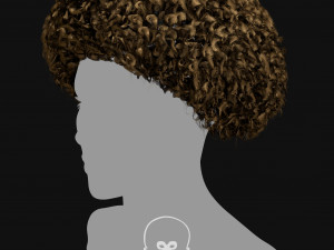 Realtime Haircard Vol 6 - No1 Modèle 3D
