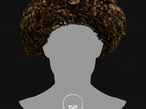 Realtime Haircard Vol 6 - No1 Modèle 3D