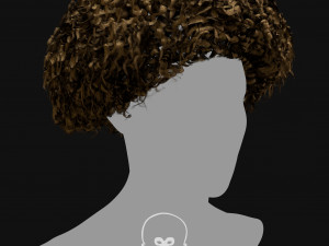 Realtime Haircard Vol 6 - No1 Modèle 3D