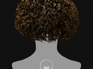 Realtime Haircard Vol 6 - No1 Modèle 3D