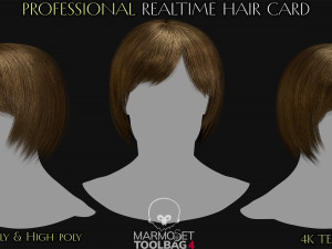Realtime Haircard Vol 6 - No2 3D Model