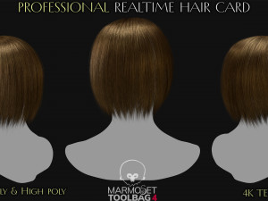 Realtime Haircard Vol 6 - No2 3D Model