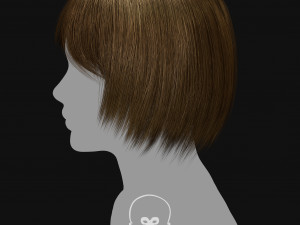 Realtime Haircard Vol 6 - No2 3D Model
