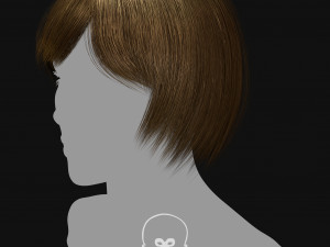 Realtime Haircard Vol 6 - No2 3D Model