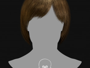 Realtime Haircard Vol 6 - No2 3D Model