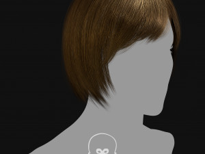 Realtime Haircard Vol 6 - No2 3D Model
