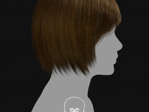 Realtime Haircard Vol 6 - No2 3D Model