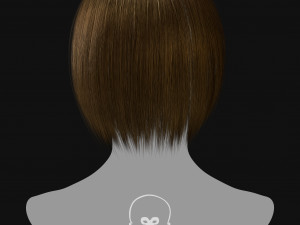 Realtime Haircard Vol 6 - No2 3D Model