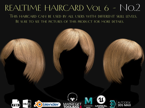 Realtime Haircard Vol 6 - No2 3D Model
