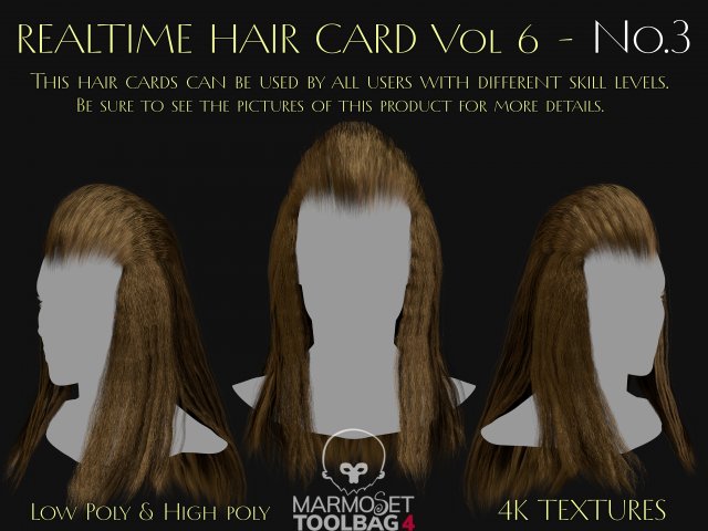Realtime Haircard Vol 6 - No3 3Dモデル .c4d .max .obj .3ds .fbx .stl .blend 