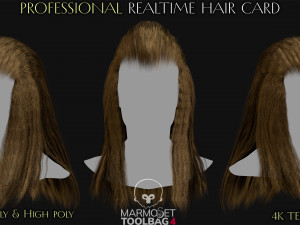 Realtime Haircard Vol 6 - No3 3Dモデル