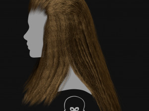 Realtime Haircard Vol 6 - No3 3Dモデル