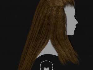 Realtime Haircard Vol 6 - No3 3Dモデル