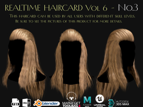 Realtime Haircard Vol 6 - No3 3D Model