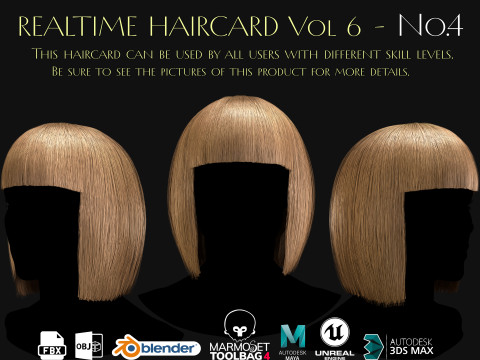 Realtime Haircard Vol 6 - No4 3D Model