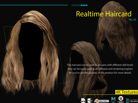 Realtime Haircard No30 Modèle 3D