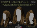 Realtime Haircard Vol 6 - No5 3D Модель