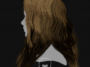 Realtime Haircard Vol 6 - No5 3Dモデル