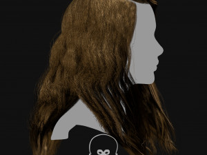 Realtime Haircard Vol 6 - No5 3Dモデル