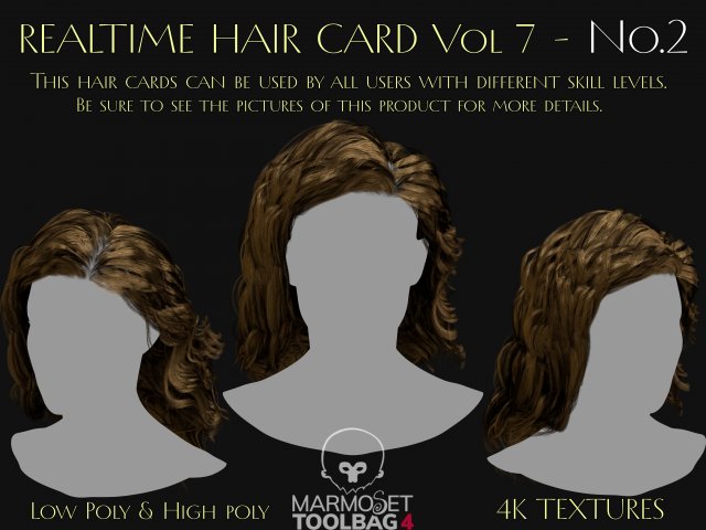 Realtime Haircard Vol 7 - No2 3D 모델 .c4d .max .obj .3ds .fbx .stl .blend 