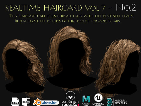 Realtime Haircard Vol 7 - No2 3D Model