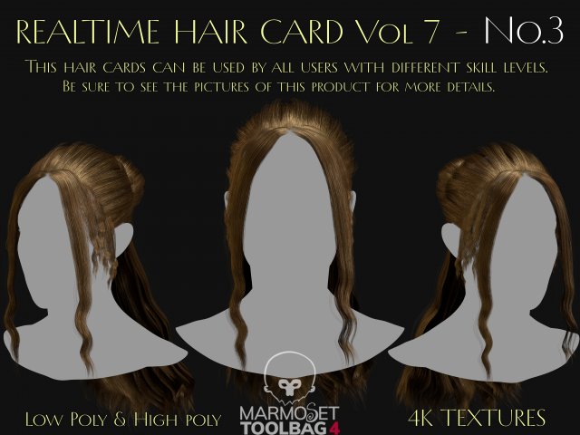 Realtime Haircard Vol 7 - No3 Modèle 3D .c4d .max .obj .3ds .fbx .stl .blend 