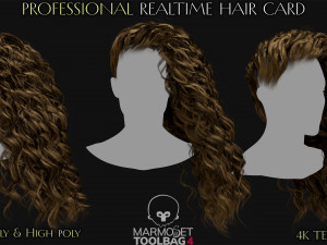 Realtime Haircard Vol 7 - No4 3D Модель