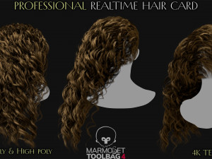 Realtime Haircard Vol 7 - No4 3D Модель