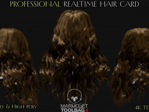 Realtime Haircard Vol 8 - No1 3Dモデル