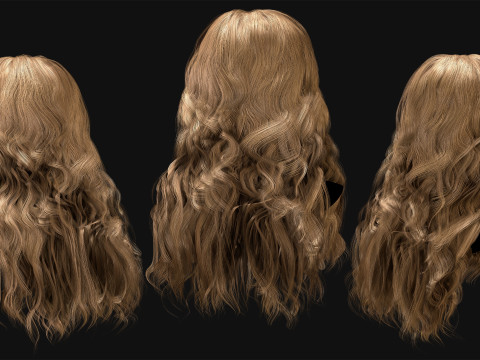 Realtime Haircard No36 Model 3D
