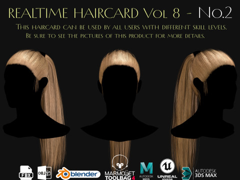 Realtime Haircard Vol 8 - No2 3D Model