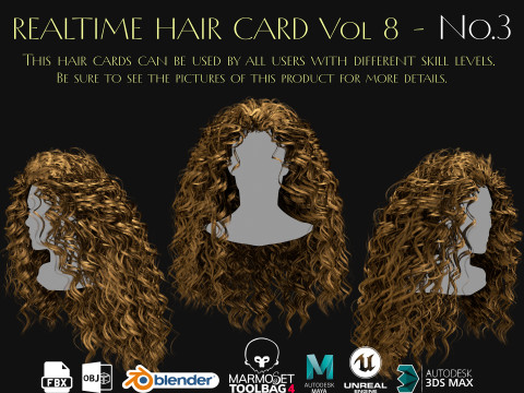 Realtime Haircard Vol 8 - No3 Modelo 3D