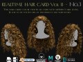 Realtime Haircard Vol 8 - No3 3D Модель