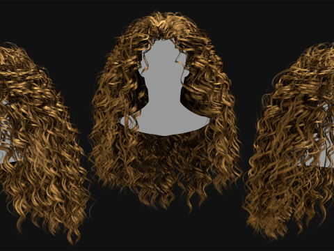 Realtime Haircard Vol 8 - No3 3D मॉडल