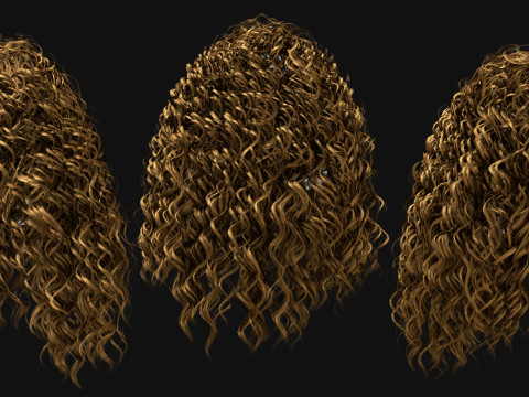 Realtime Haircard Vol 8 - No3 3D मॉडल