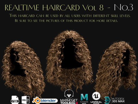 Realtime Haircard Vol 8 - No3 3D Model