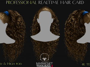 Realtime Haircard Vol 8 - No5 Model 3D