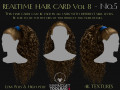Realtime Haircard Vol 8 - No5 3D Модель