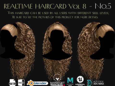 Realtime Haircard Vol 8 - No5 3D Model