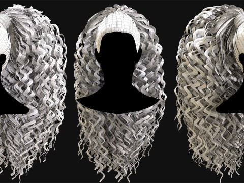 Realtime Haircard No40 Modello 3D